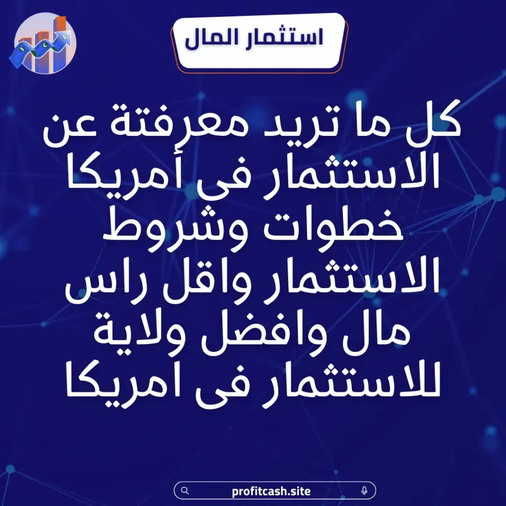 الاستثمار فى امريكا