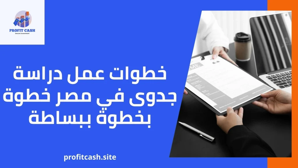 عمل دراسة جدوى في مصر