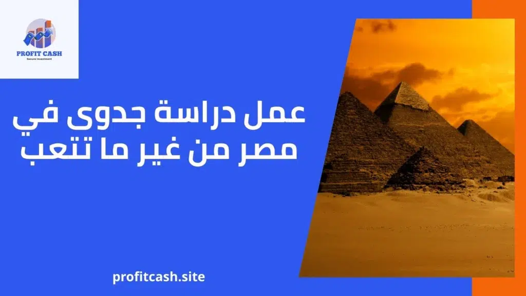 عمل دراسة جدوى في مصر