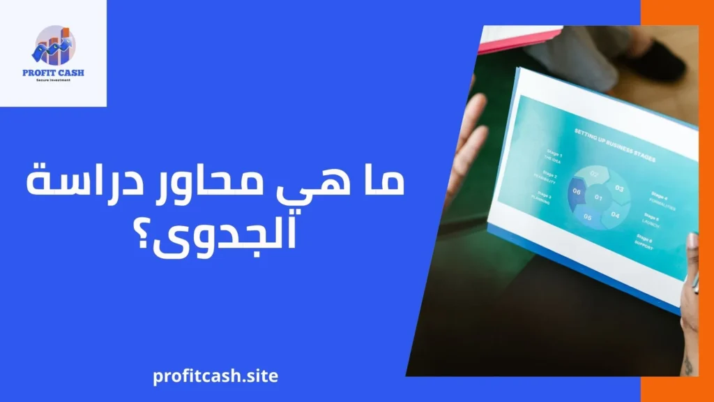 محاور دراسة الجدوى