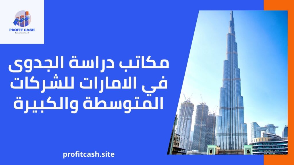 مكاتب دراسة الجدوى في الإمارات للشركات الكبيرة والمتوسطة