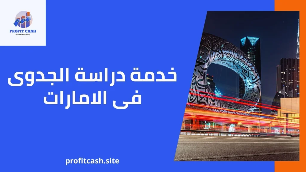 خدمة دراسة الجدوى في الإمارات