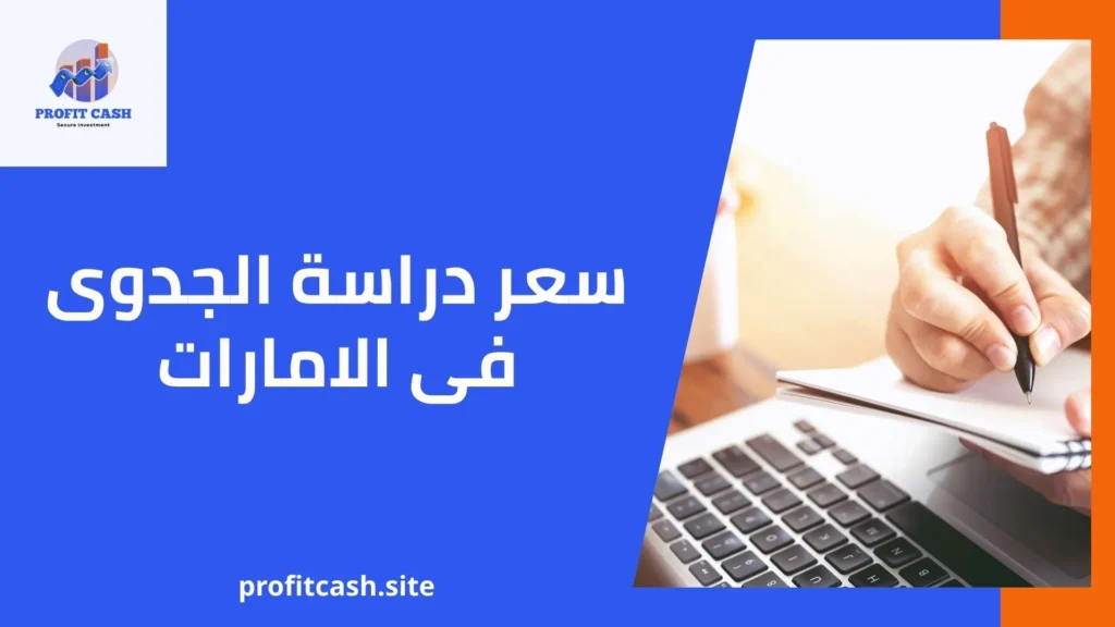 سعر دراسة الجدوى فى الامارات