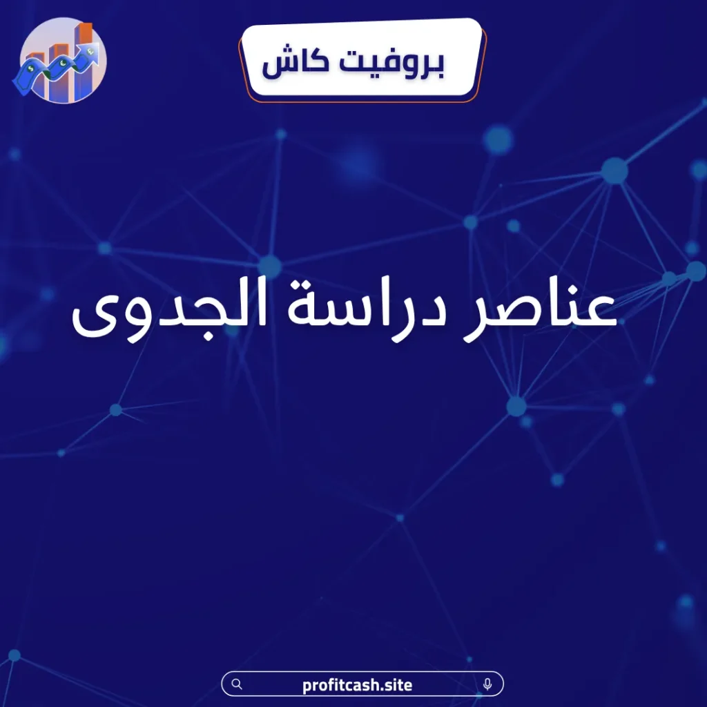 عناصر دراسة الجدوى
