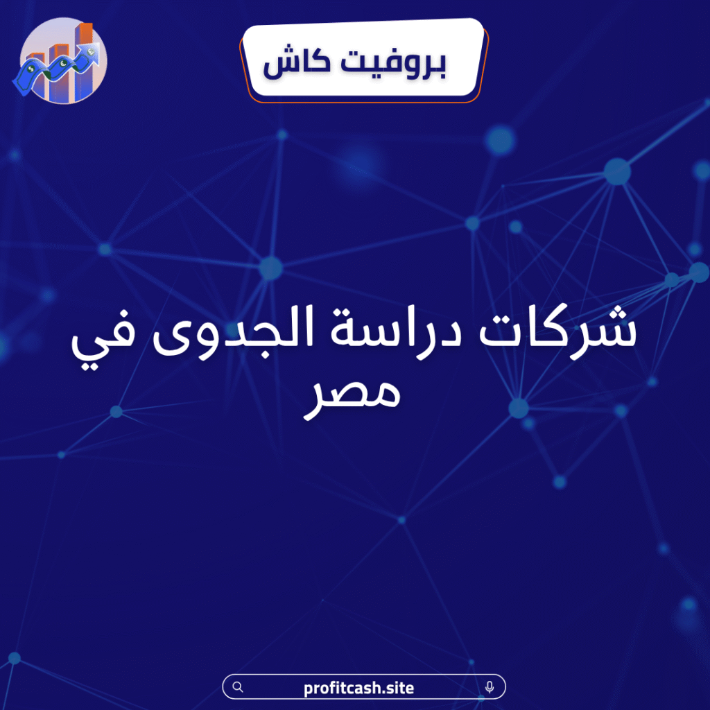 شركات دراسة الجدوى في مصر